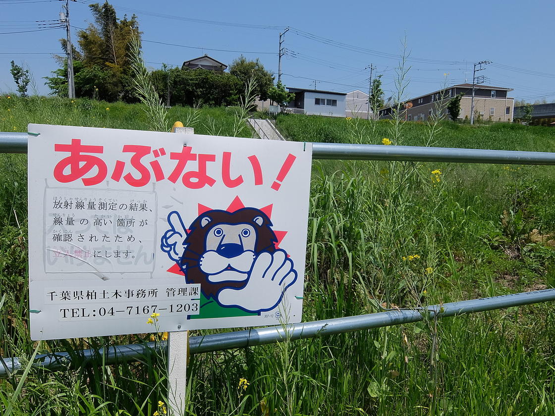 千葉県柏土木事務所 管理課による高放射線量に伴う立入禁止の案内看板