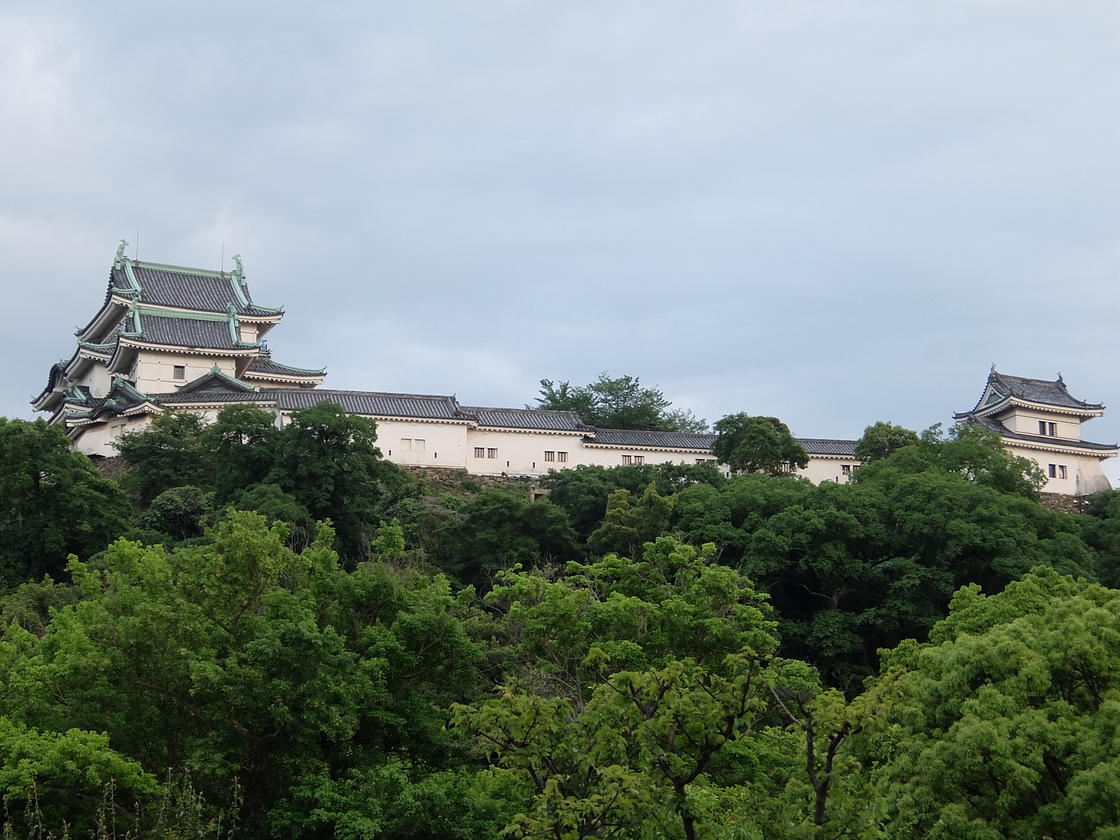 遠くから和歌山城を見る